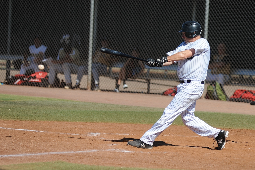 Seals_2017-10-12 (624).JPG - (c)2010 DeVetter